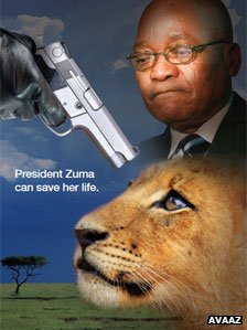 Save African Lions - Avaaz Poster